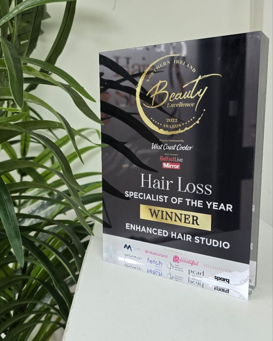 Hair Loss Specialist of the year – Enhanced Hair Studio Belfast and Newry