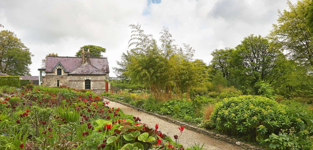 July 2016 - Blessington - Wicklow Home - Issue 253