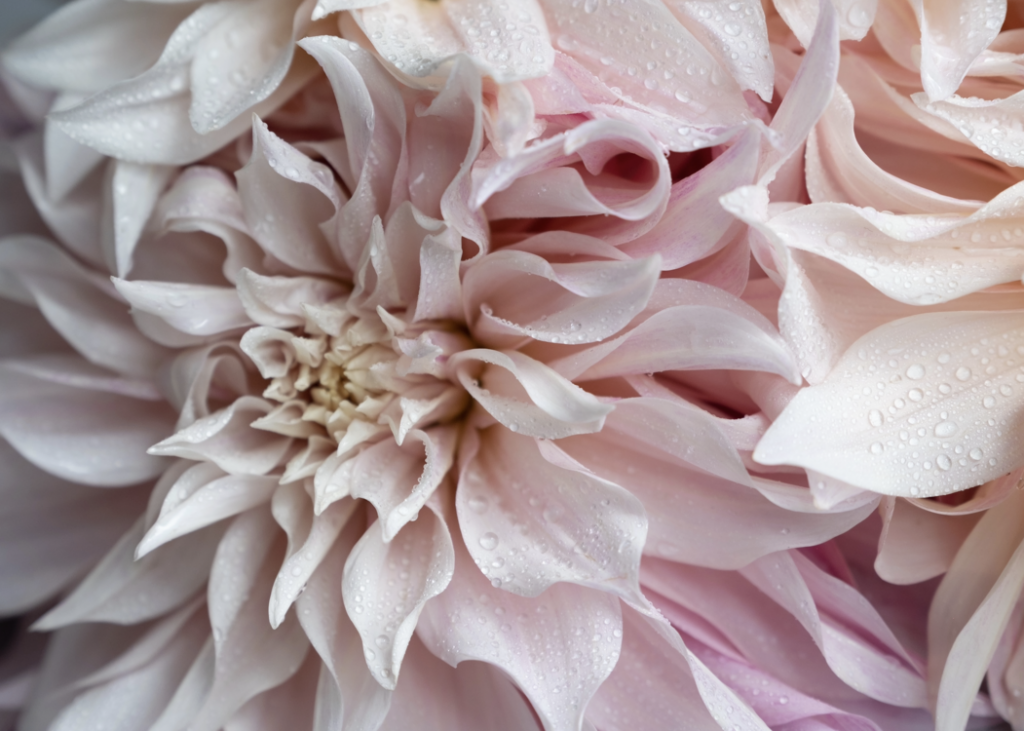 Fireplace Flowers Decor|Fireplace Flowers|Fireplace Flowers