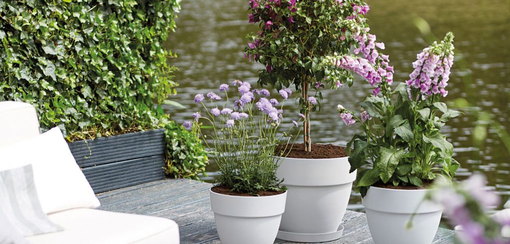 Outdoor additions - August 2019 - Issue 290