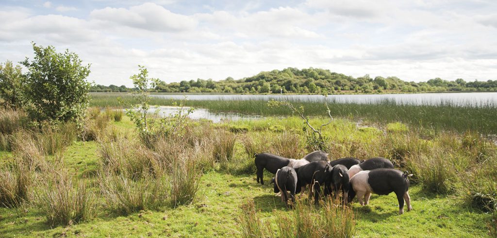 Fermanagh Area Focus - May 2025 - Issue 357