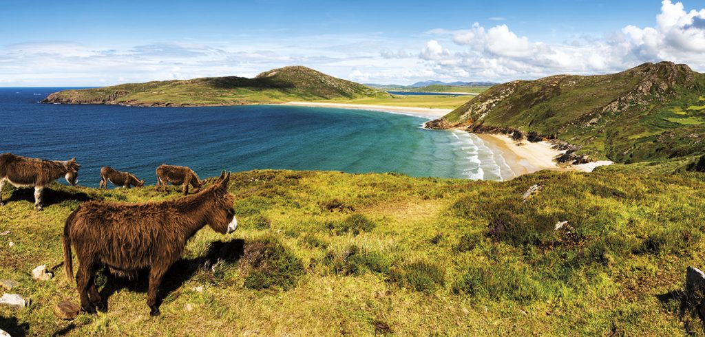Donegal Area Focus - July 2026 - Issue 371