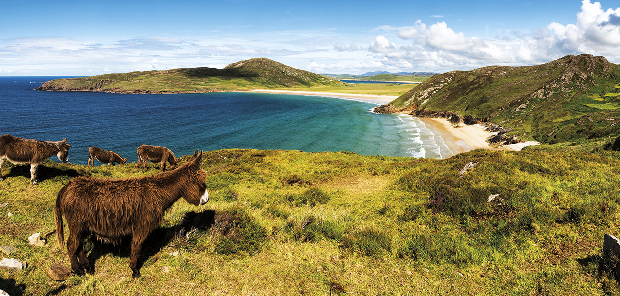 Donegal Area Focus - July 2026 - Issue 371