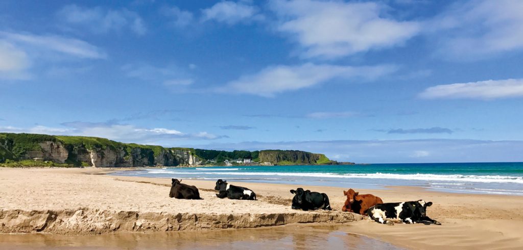 Destination Ireland: Beaches - July 2018 - Issue 277