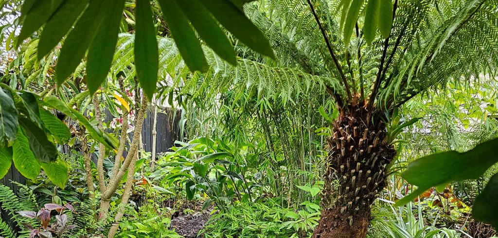 Gardening - July 2026 - Issue 371