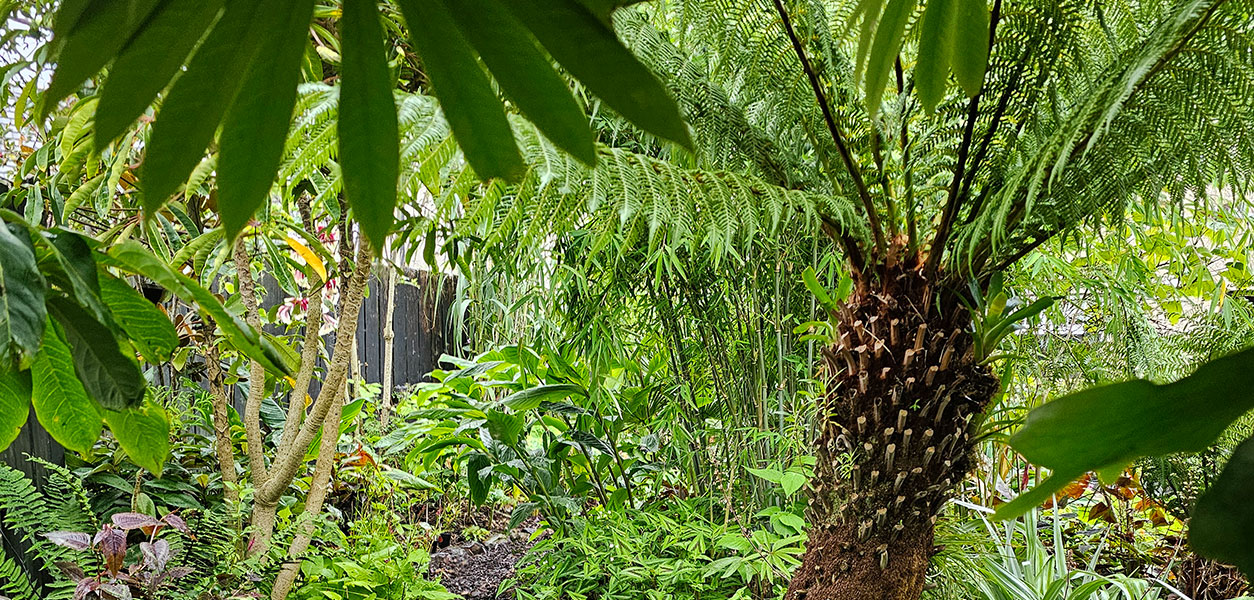 Gardening - July 2026 - Issue 371