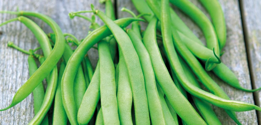 Gardening - July/August 2020 - Issue 300
