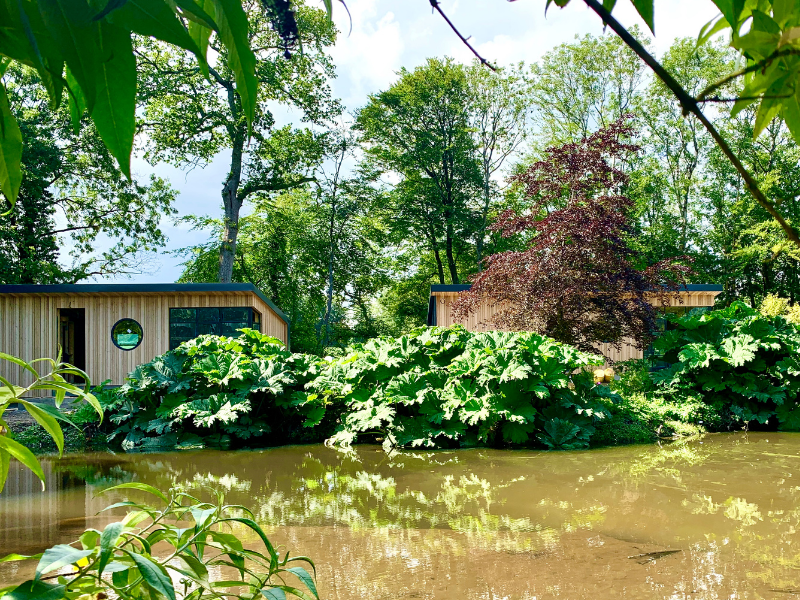 retreat-to-nature-at Marlfield-House|Peacock-Room-Marlfield-House|Room-Marlfield-House|